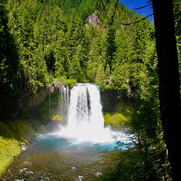 Meet your Posher, Jamie - Picture 2 of 12